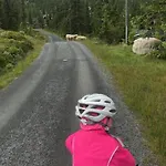 Stor Familiehytte Pa Smasaetra, Hébergement de vacances *