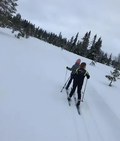 Stor Familiehytte Pa Smasaetra, Tatil Evi Sjusjoen