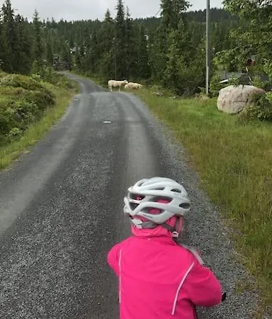 Stor Familiehytte Pa Smasaetra, Casa vacanze *