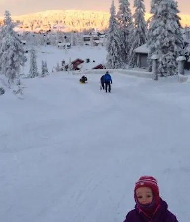 Stor Familiehytte Pa Smasaetra, Feriehus Sjusjoen