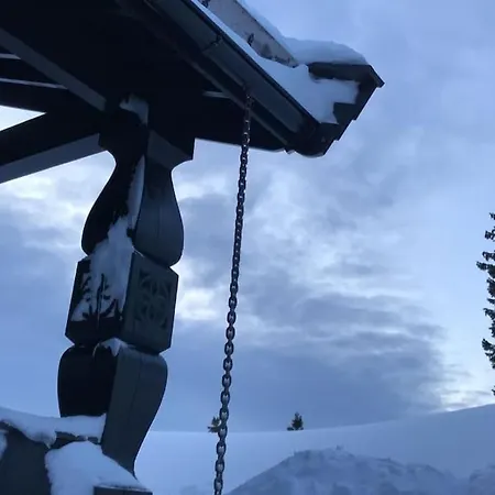 Stor Familiehytte Pa Smasaetra, Sjusjoen