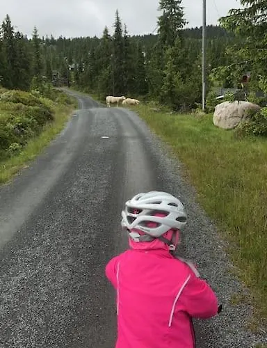 Stor Familiehytte Pa Smasaetra, 度假居 *