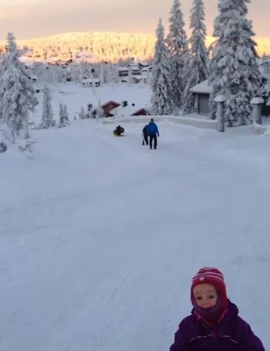 Stor Familiehytte Pa Smasaetra, Prázdninový dům Sjusjoen