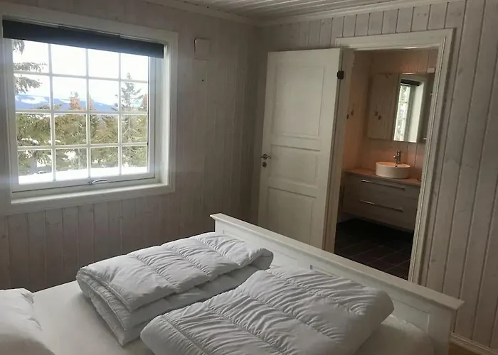 Stor Familiehytte Pa Smasaetra, Sjusjoen