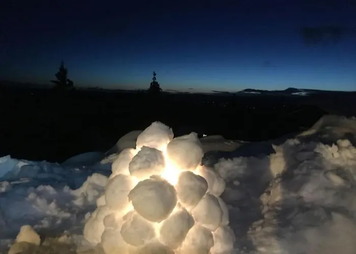 Stor Familiehytte Pa Smasaetra, Sjusjoen