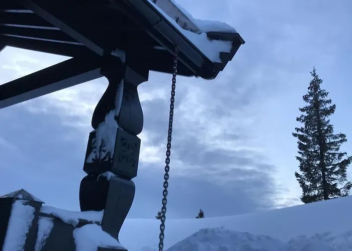 Stor Familiehytte Pa Smasaetra, Sjusjoen