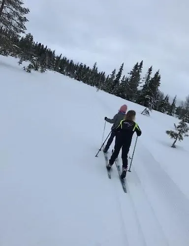 Stor Familiehytte Pa Smasaetra, بيت للعطل Sjusjoen